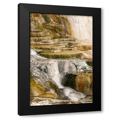 Canary Spring terraces at sunrise-Mammoth Hot Springs-Yellowstone National Park-Wyoming Black Modern Wood Framed Art Print by Jones, Adam