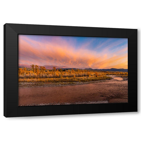 Golden cottonwood and aspen trees at sunset Gros Ventre River-Grand Teton National Park-Wyoming Black Modern Wood Framed Art Print with Double Matting by Jones, Adam