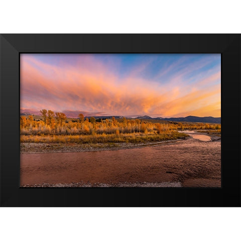 Golden cottonwood and aspen trees at sunset Gros Ventre River-Grand Teton National Park-Wyoming Black Modern Wood Framed Art Print by Jones, Adam