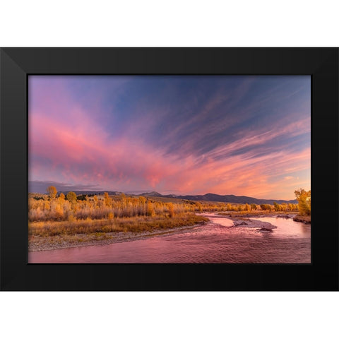 Golden cottonwood and aspen trees at sunset Gros Ventre River-Grand Teton National Park-Wyoming Black Modern Wood Framed Art Print by Jones, Adam