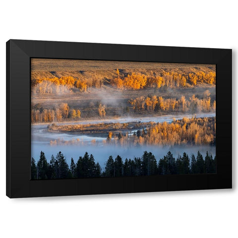 Elevated view of aspen and cottonwood trees mist along Snake River-Grand Teton National Park-Wyoming Black Modern Wood Framed Art Print by Jones, Adam