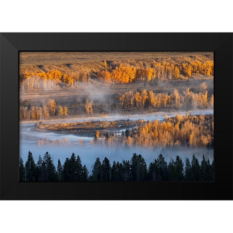 Elevated view of aspen and cottonwood trees mist along Snake River-Grand Teton National Park-Wyoming Black Modern Wood Framed Art Print by Jones, Adam