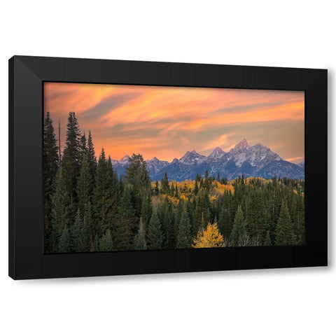 Golden aspen trees and Teton Range in early morning-Grand Teton National Park-Wyoming Black Modern Wood Framed Art Print with Double Matting by Jones, Adam