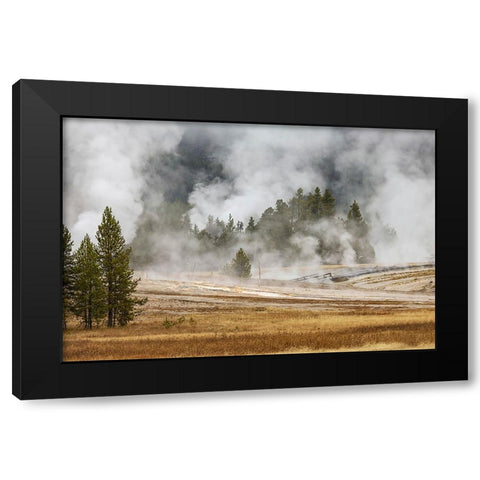Grasses and mist in autumn meadow-Upper Geyser Basin-Yellowstone National Park-Wyoming Black Modern Wood Framed Art Print by Jones, Adam