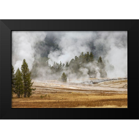 Grasses and mist in autumn meadow-Upper Geyser Basin-Yellowstone National Park-Wyoming Black Modern Wood Framed Art Print by Jones, Adam