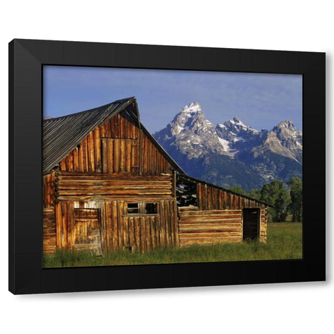 WY, Grand Tetons A weathered wooden barn Black Modern Wood Framed Art Print with Double Matting by Flaherty, Dennis