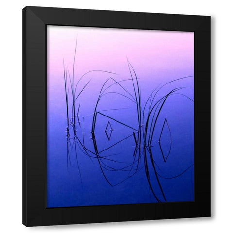 WY, Grand Tetons Reeds in a shallow pond Black Modern Wood Framed Art Print with Double Matting by Kelley, David