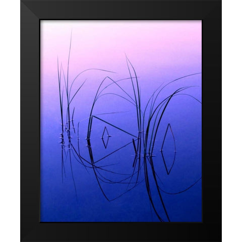 WY, Grand Tetons Reeds in a shallow pond Black Modern Wood Framed Art Print by Kelley, David