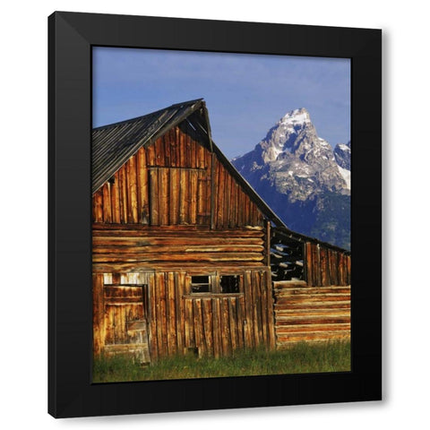 WY, Grand Tetons Dilapidated barn by Mormon Row Black Modern Wood Framed Art Print with Double Matting by Flaherty, Dennis