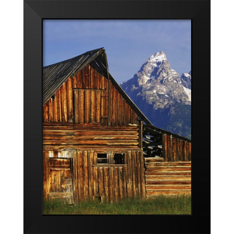 WY, Grand Tetons Dilapidated barn by Mormon Row Black Modern Wood Framed Art Print by Flaherty, Dennis