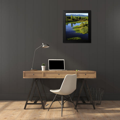 WY, Grand Tetons A Meadow in the Grand Tetons Black Modern Wood Framed Art Print by Talbot Frank, Christopher