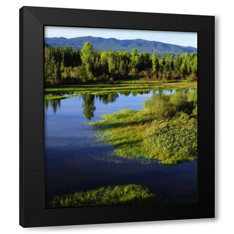 WY, Grand Tetons A Meadow in the Grand Tetons Black Modern Wood Framed Art Print with Double Matting by Talbot Frank, Christopher