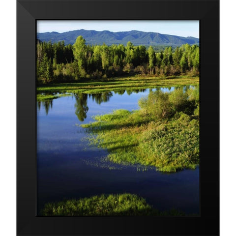 WY, Grand Tetons A Meadow in the Grand Tetons Black Modern Wood Framed Art Print by Talbot Frank, Christopher