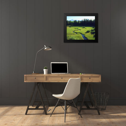 WY, Grand Tetons Grand Tetons and a lush meadow Black Modern Wood Framed Art Print by Talbot Frank, Christopher