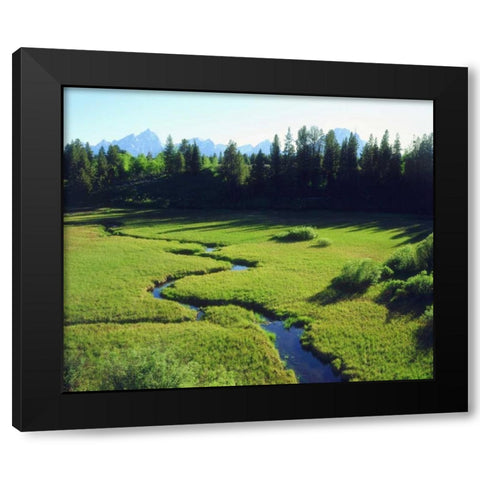 WY, Grand Tetons Grand Tetons and a lush meadow Black Modern Wood Framed Art Print with Double Matting by Talbot Frank, Christopher