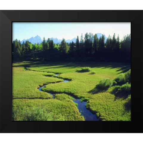 WY, Grand Tetons Grand Tetons and a lush meadow Black Modern Wood Framed Art Print by Talbot Frank, Christopher
