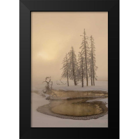 USA, Wyoming, Yellowstone NP Foggy winter scenic Black Modern Wood Framed Art Print by Illg, Cathy and Gordon