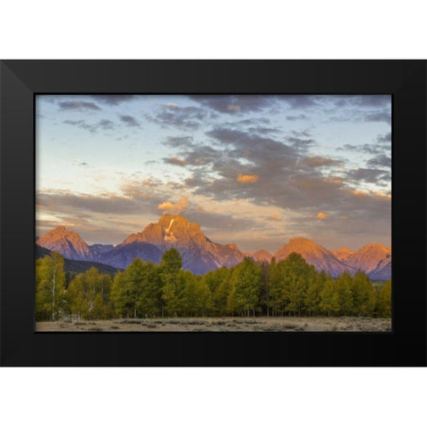 WY Mount Moran and Teton Range at sunrise Black Modern Wood Framed Art Print by Paulson, Don