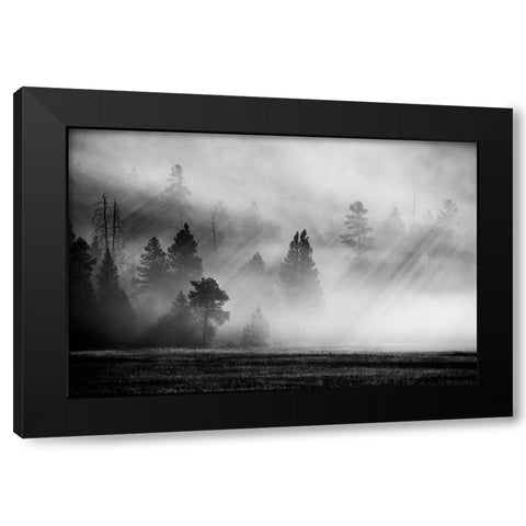 USA-Wyoming-Yellowstone National Park-Early morning fog with light rays through the trees Black Modern Wood Framed Art Print with Double Matting by Hopkins, Cindy Miller