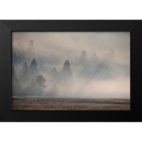 USA-Wyoming-Yellowstone National Park-Early morning fog with light rays through the trees Black Modern Wood Framed Art Print by Hopkins, Cindy Miller