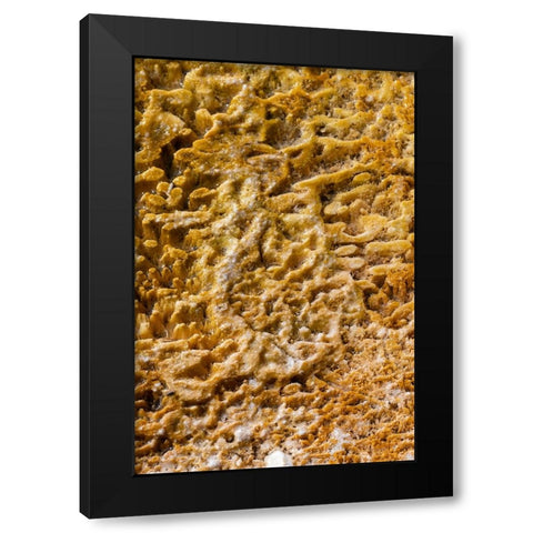USA-Wyoming-Yellowstone National Park-Black Sand Basin-Detail of colorful thermophile bacteria mat Black Modern Wood Framed Art Print by Hopkins, Cindy Miller