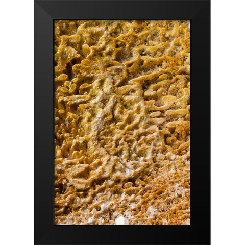 USA-Wyoming-Yellowstone National Park-Black Sand Basin-Detail of colorful thermophile bacteria mat Black Modern Wood Framed Art Print by Hopkins, Cindy Miller