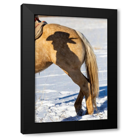 USA- Shell- Wyoming. Hideout Ranch Shadow of cowhand with hat on side of horse.  Black Modern Wood Framed Art Print by Gulin, Darrell