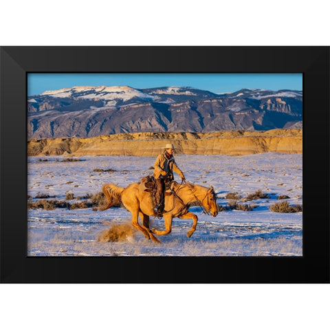 USA- Shell- Wyoming. Hideout Ranch cowgirl riding fast snows.  Black Modern Wood Framed Art Print by Gulin, Darrell