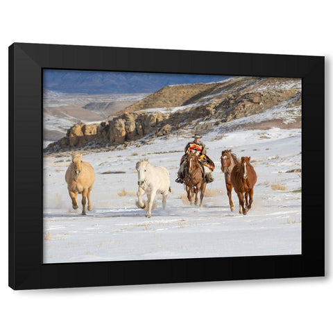 USA- Shell- Wyoming. Hideout Ranch cowboy riding and herding horses in snow.  Black Modern Wood Framed Art Print by Gulin, Darrell