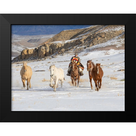 USA- Shell- Wyoming. Hideout Ranch cowboy riding and herding horses in snow.  Black Modern Wood Framed Art Print by Gulin, Darrell