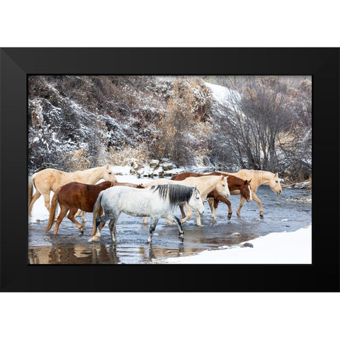 USA- Shell- Wyoming. Hideout Ranch horses in reflection Shell Creek.  Black Modern Wood Framed Art Print by Gulin, Darrell