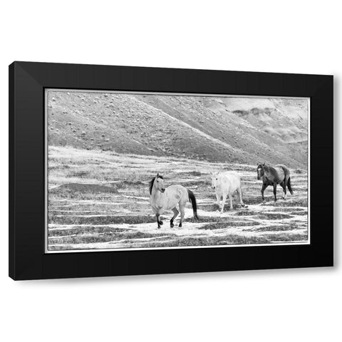 USA- Shell- Wyoming. Hideout Ranch with small herd of horses in snow.  Black Modern Wood Framed Art Print by Gulin, Darrell