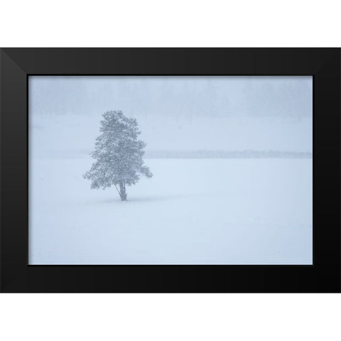 Lone tree Black Modern Wood Framed Art Print by Theodore, George and Marilu