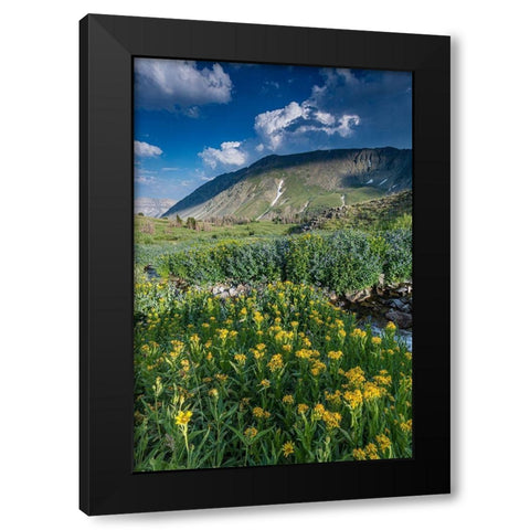 Arnica and bluebell wildflowers next to creek-Absaroka Mountains near Cody and Meeteetse-Wyoming Black Modern Wood Framed Art Print by Garber, Howie