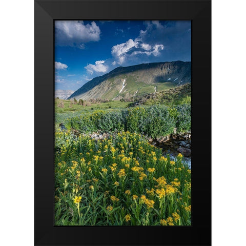 Arnica and bluebell wildflowers next to creek-Absaroka Mountains near Cody and Meeteetse-Wyoming Black Modern Wood Framed Art Print by Garber, Howie