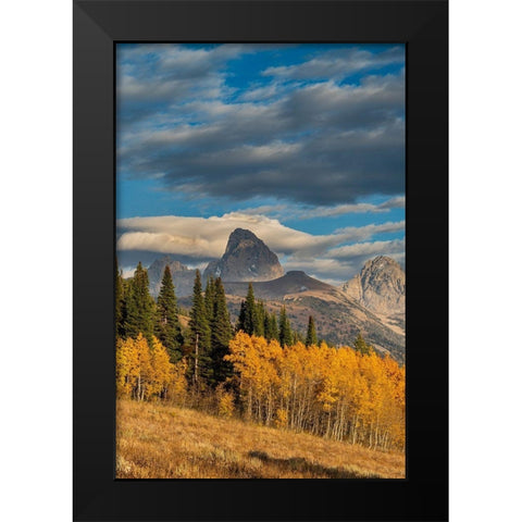 Landscape of Mt Owen-Grand Teton and Middle Teton from the west-golden fall foliage Black Modern Wood Framed Art Print by Garber, Howie