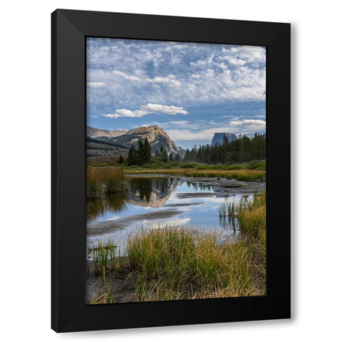USA-Wyoming-White Rock Mountain and Squaretop Peak above Green River wetland-Wind River Mountains Black Modern Wood Framed Art Print by Garber, Howie