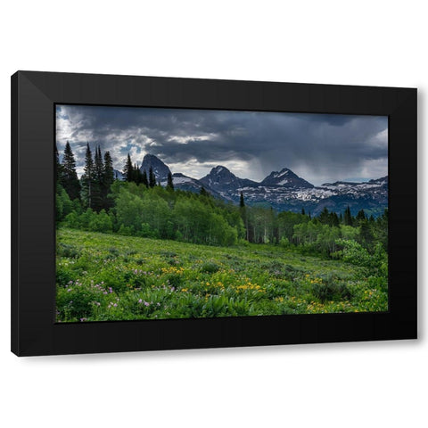 USA-Wyoming-Geranium and arrowleaf balsamroot wildflowers in meadow-west side of Teton Mountains Black Modern Wood Framed Art Print with Double Matting by Garber, Howie