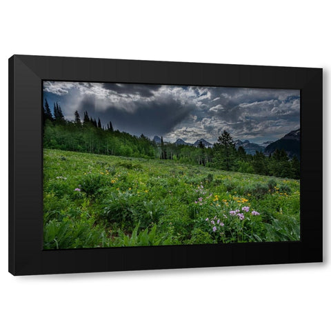 USA-Wyoming-Dramatic clouds and wildflowers in meadow west side of Teton Mountains Black Modern Wood Framed Art Print with Double Matting by Garber, Howie