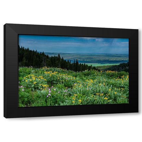 USA-Wyoming-Wildflowers and view of Teton Valley-Idaho-summer-Caribou-Targhee National Forest Black Modern Wood Framed Art Print by Garber, Howie