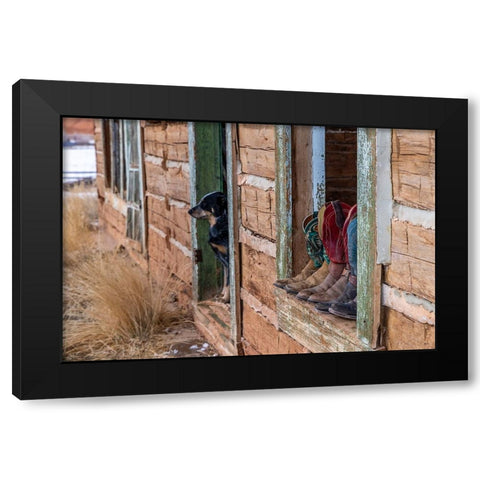 USA- Wyoming. Hideout Horse Ranch- boots on display.  Black Modern Wood Framed Art Print by Looney, Hollice