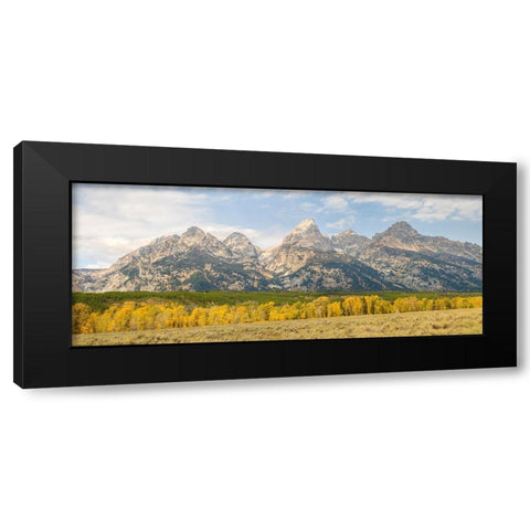 Wyoming- Grand Teton National Park. Teton Range with Grand Teton and golden Aspen trees Black Modern Wood Framed Art Print by Wild, Jamie and Judy