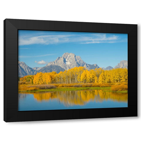 Wyoming- Grand Teton National Park. Mount Moran and golden Aspen trees Black Modern Wood Framed Art Print by Wild, Jamie and Judy