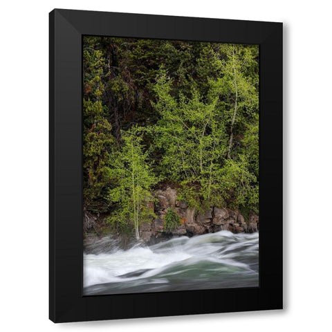 Wyoming Budding trees-La Grange Cascade-Yellowstone National Park Black Modern Wood Framed Art Print with Double Matting by Zimmerman, Judith