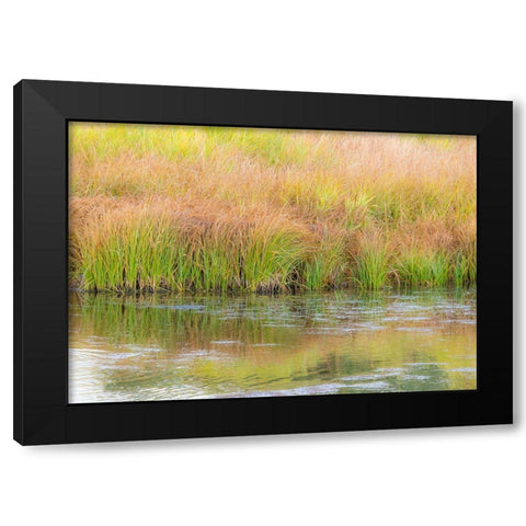 Wyoming-Grand Tetons National Park waters edge Snake River and golden grasses reflected in water Black Modern Wood Framed Art Print with Double Matting by Gulin, Sylvia