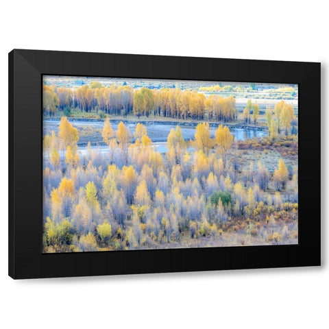 Wyoming-Buffalo Fork River and Cottonwoods in fall color Black Modern Wood Framed Art Print by Gulin, Sylvia