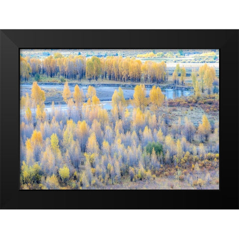 Wyoming-Buffalo Fork River and Cottonwoods in fall color Black Modern Wood Framed Art Print by Gulin, Sylvia