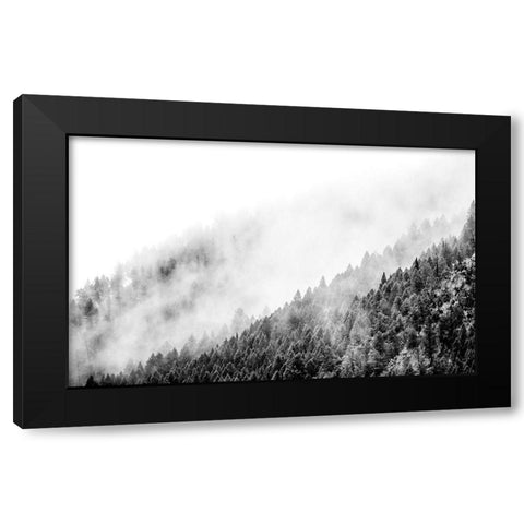 Wyoming-Hoback-clouds intermingling with evergreens on rainy morning in black and white Black Modern Wood Framed Art Print by Gulin, Sylvia