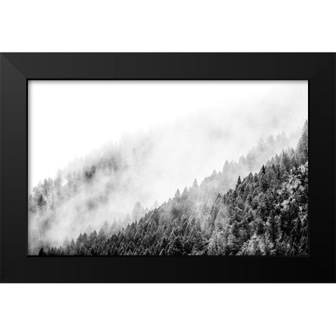 Wyoming-Hoback-clouds intermingling with evergreens on rainy morning in black and white Black Modern Wood Framed Art Print by Gulin, Sylvia