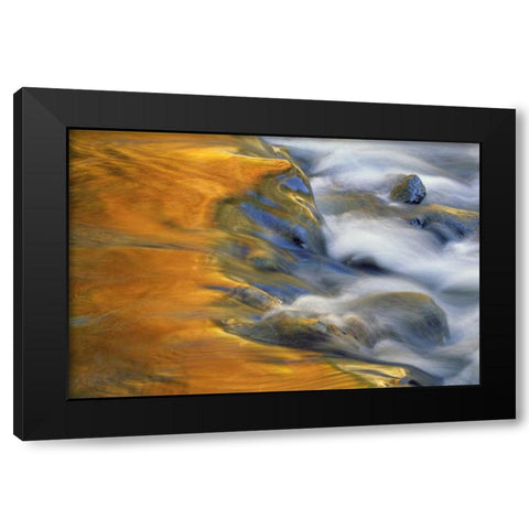 Northeast, Fall reflections on stream rapids Black Modern Wood Framed Art Print by Rotenberg, Nancy